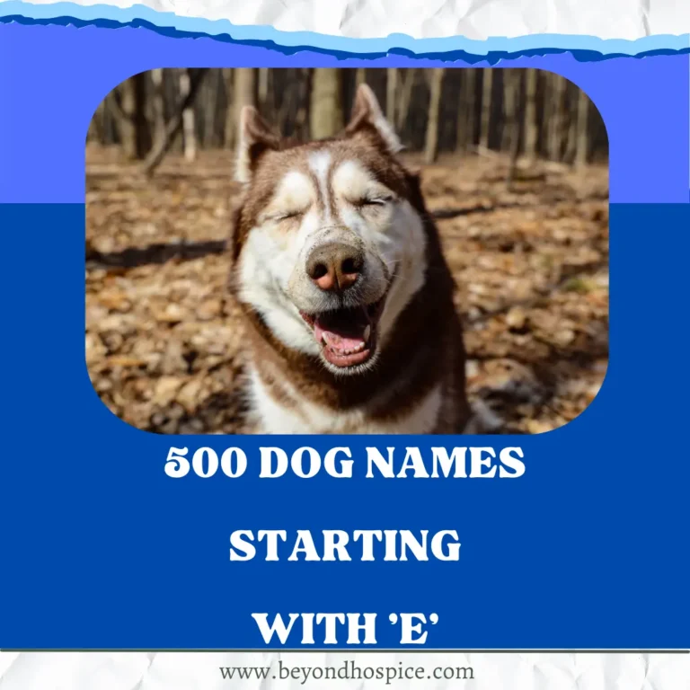 500 Unique Dog Names That Start with letter E