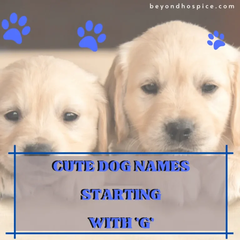 400+ Cute Dog Names Starting with letter G