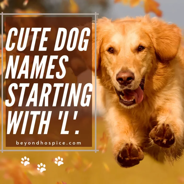 500 Cute Dog Names That Start with letter L