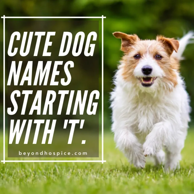 500 Cute Dog Names That Start with letter T